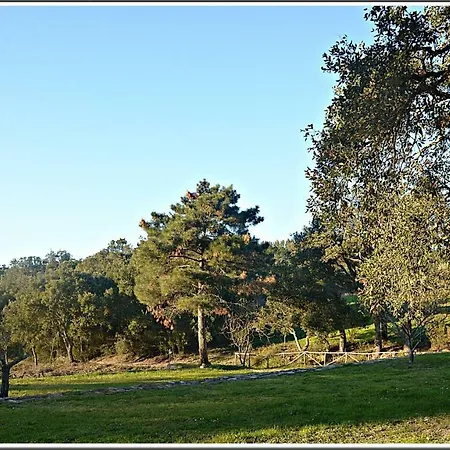 Farm stay Agriturismo Poggio Macinaio *