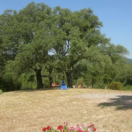 Agriturismo Poggio Macinaio