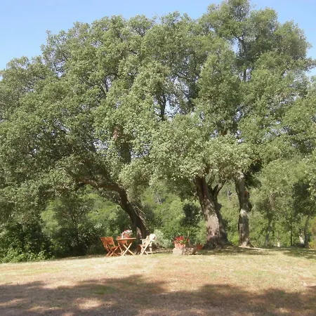 Agriturismo Poggio Macinaio