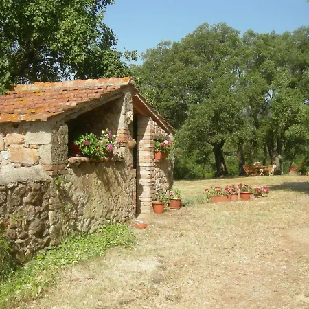 Farm stay Agriturismo Poggio Macinaio Roccastrada
